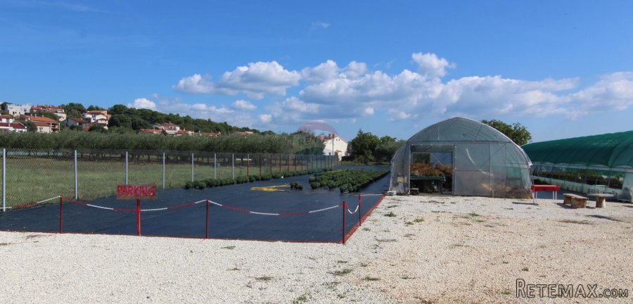 Istra, Poreč, Parcela u okolici Poreča od 10.197 m2 s 3 plas