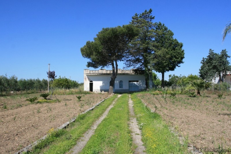 V000150, Countryhouse In Need Of..