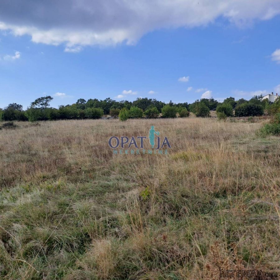 Lupoglav - Građevinski teren s projektom ! - 2