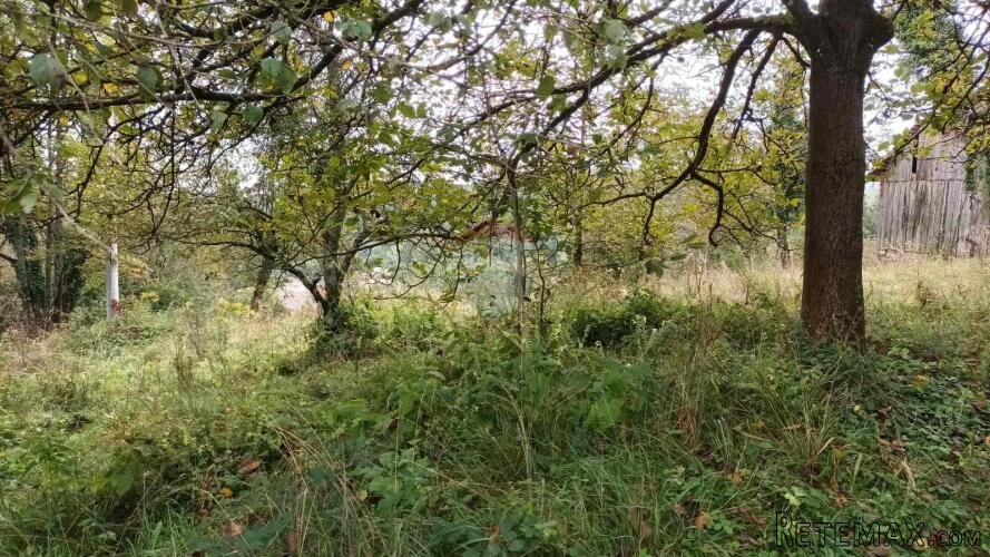 Vrbovsko, zemljište od 10.000 m2 s gospodarskim zgradama - 2
