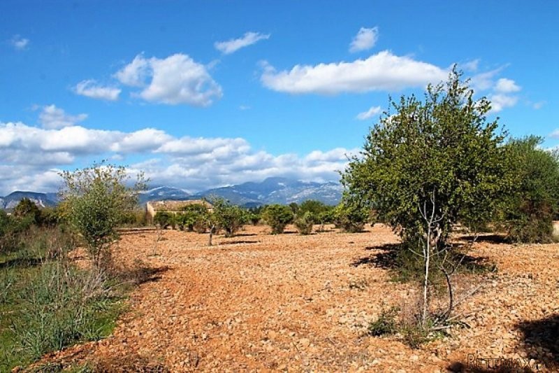 2 building plots with mountains views.. - 2