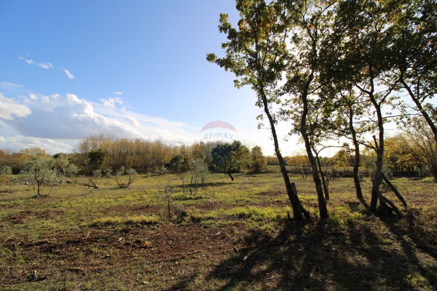 Istra,Kaštelir, Labinci, poljoprivredno zemljište, 8 578 m2