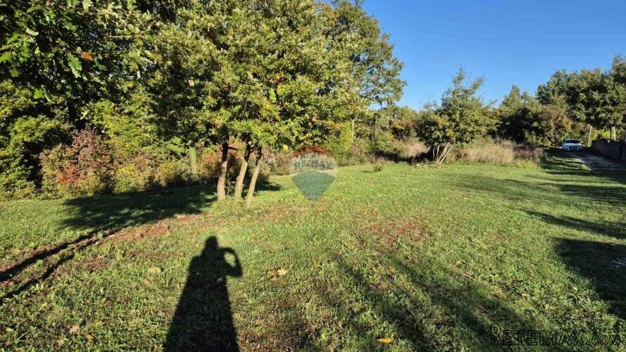 Istra, Sveti Petar u Šumi građevinsko zemljište sa poljopriv - 3