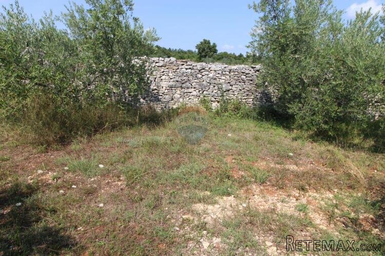 Istra,Vodnjan okolica,građevinsko-poljoprivredna parcela - 3