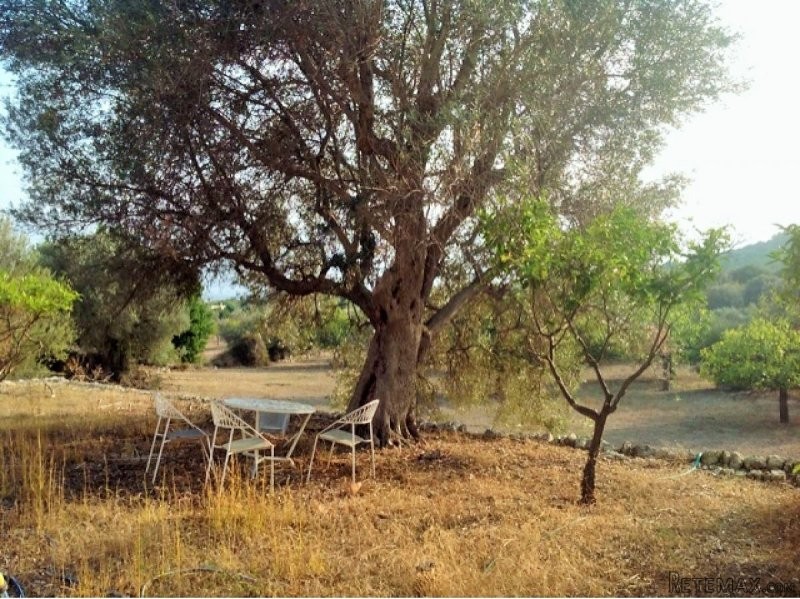 Plot at the local edge of Biniamar - 2
