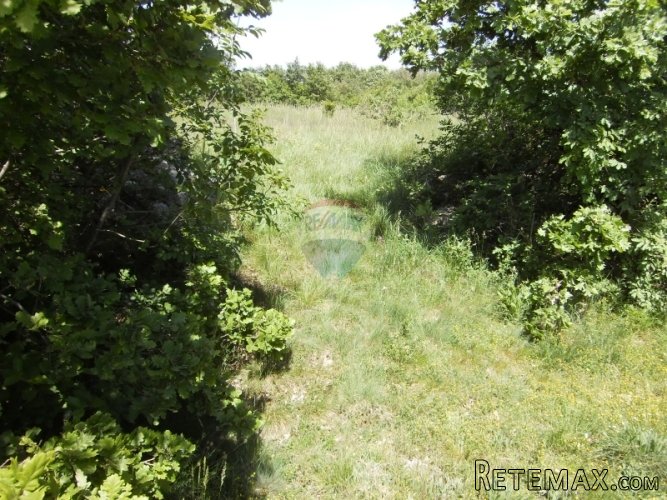 Žminj, Vidulini , građevinsko zemljište 4210 m2 - 4