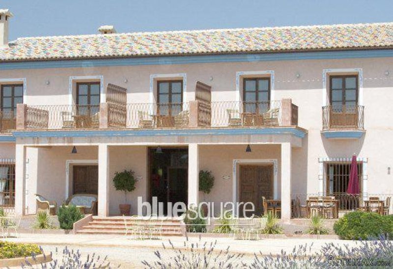 Rural hotel in Oliva - 2