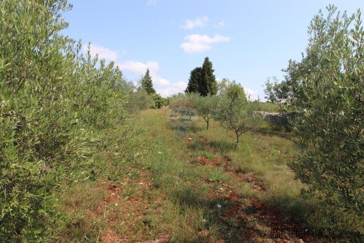 Istra,Vodnjan okolica,građevinsko-poljoprivredna parcela - 6