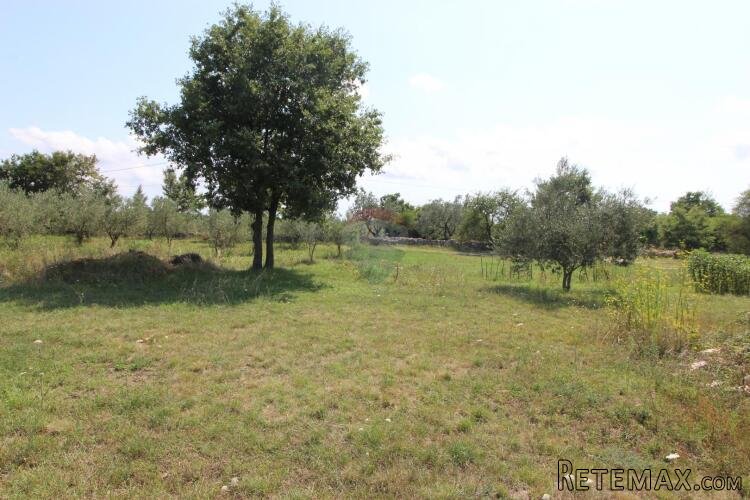 Istra,Vodnjan okolica,građevinsko-poljoprivredna parcela - 7