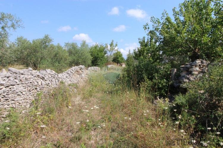 Istra,Vodnjan okolica,građevinsko-poljoprivredna parcela - 8