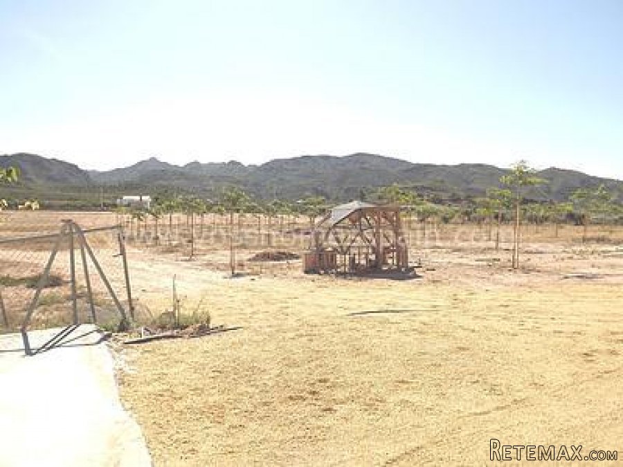 A spectacular property. details available upon.. - 9