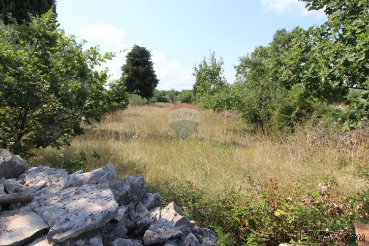 Istra,Vodnjan okolica,građevinsko-poljoprivredna parcela - 9