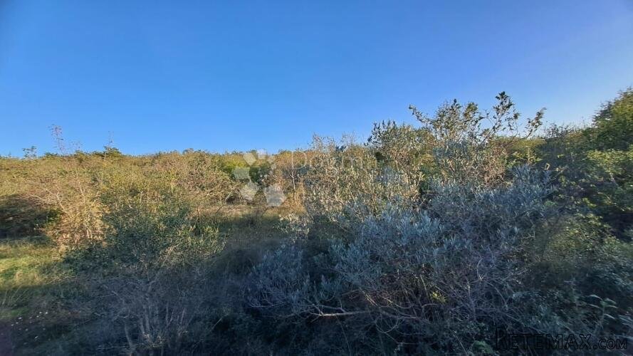 Veliko poljoprivredno zemljište 18,357m2 - 2