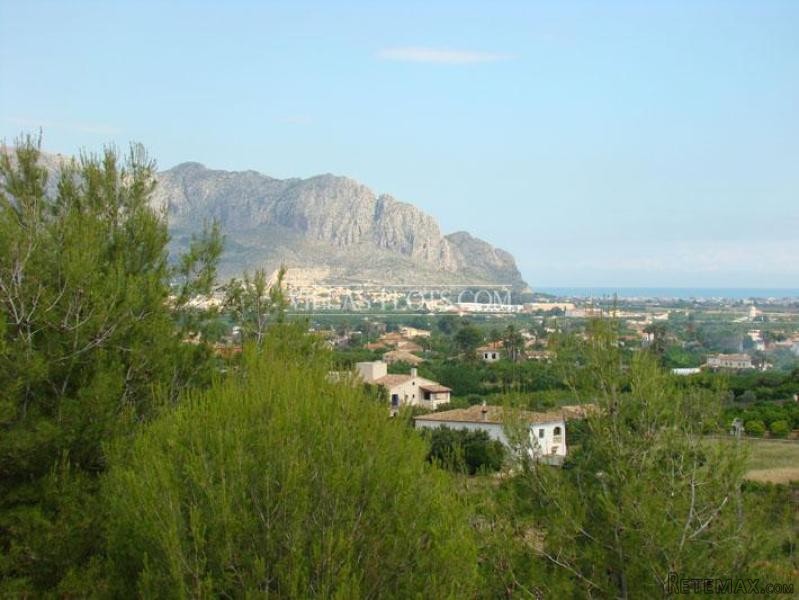 Plot In Pedreguer