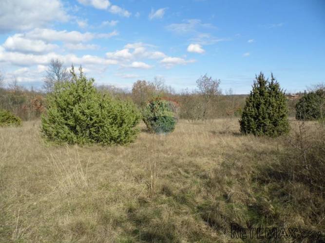 Istra, Žminj, građevinsko zemljište sa započetom gradnjom - 3