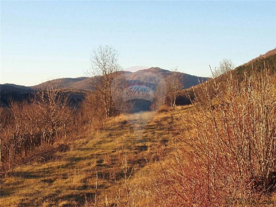 ISTRA- POLJ. ZEMLJIŠTE -32700M2, PORED ASFALTA - 3