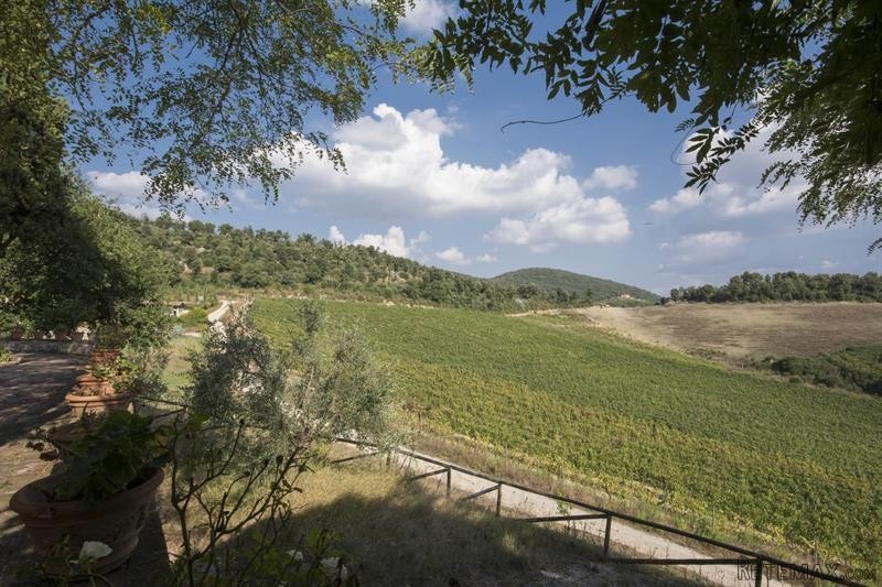 4 bedroom Farm House For Sale: Trequanda