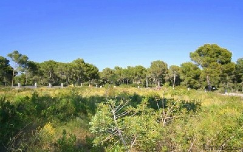 Plot for sale in Nova Santa Ponsa