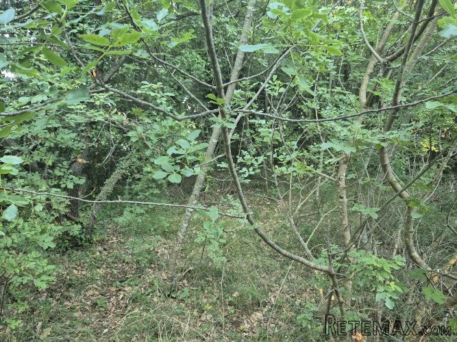 Poljoprivredno zemljište - pašnjak - 1942 m2 - 3