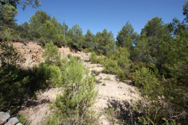 Rustic plot in Benichembla (Jalon Valley) of 10.423 sq.. - 2