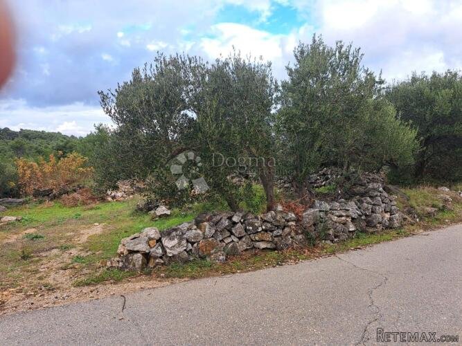 Poljoprivredno zemljište Hvar-Jelsa 9500m2 - 3