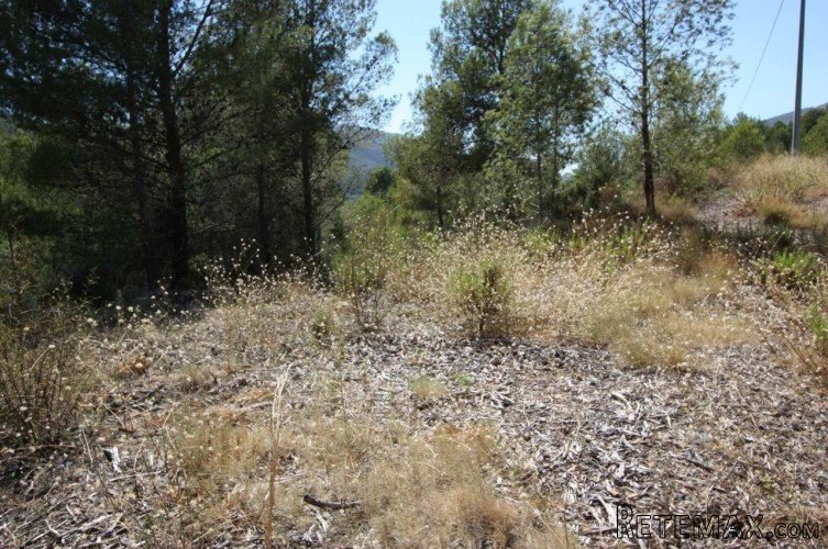 Rustic plot in Benichembla (Jalon Valley) of 10.423 sq.. - 3