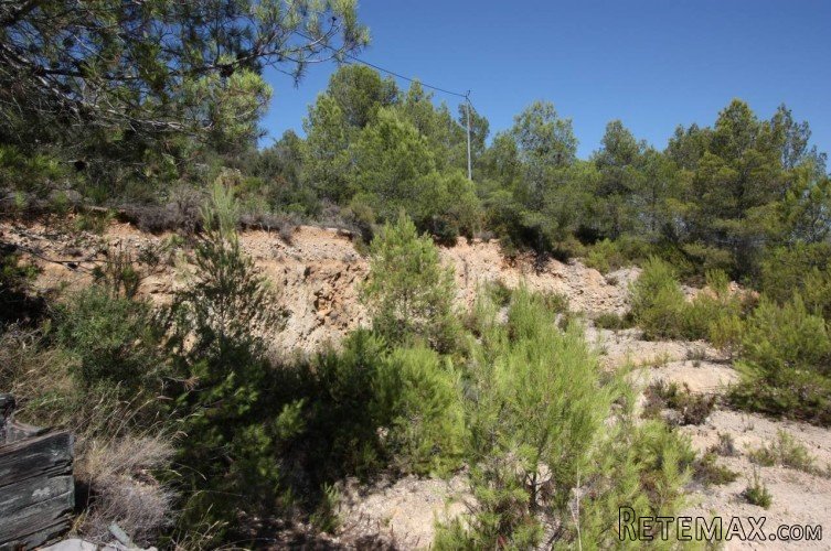 Rustic plot in Benichembla (Jalon Valley) of 10.423 sq.. - 4