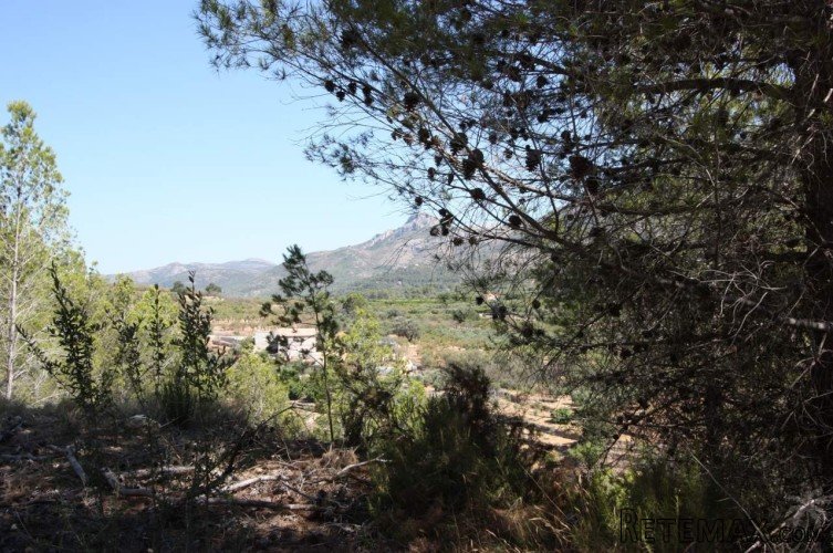 Rustic plot in Benichembla (Jalon Valley) of 10.423 sq.. - 5