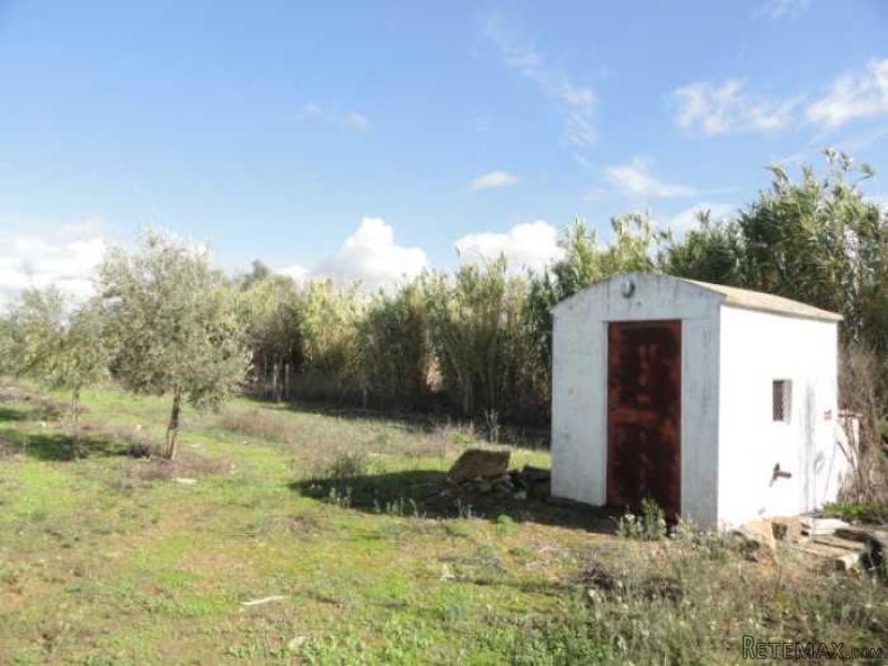 2 Bedrooms Farm For Sale - Portalegre - 2