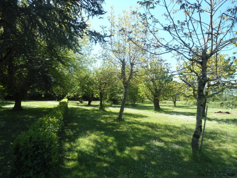 Farmhouse 5 Mins From Lively Village.. - 2