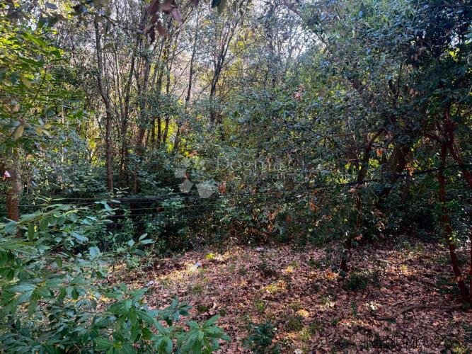 Investicijska parcela – građevinski dio i šumska zona za pri - 2