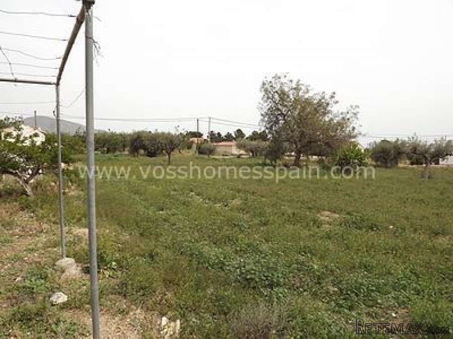 3 bed village / country house of approx 200m2 which is.. - 2