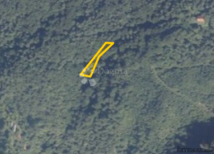 Šuma na Ravnoj gori - 2