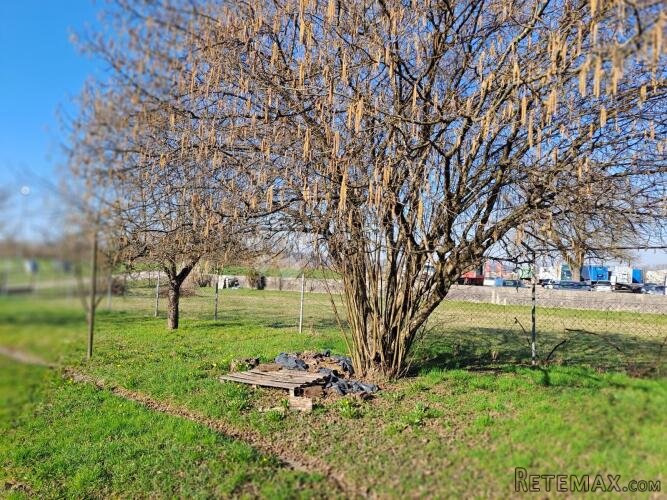 Velika kuća na odličnoj lokaciji - 2