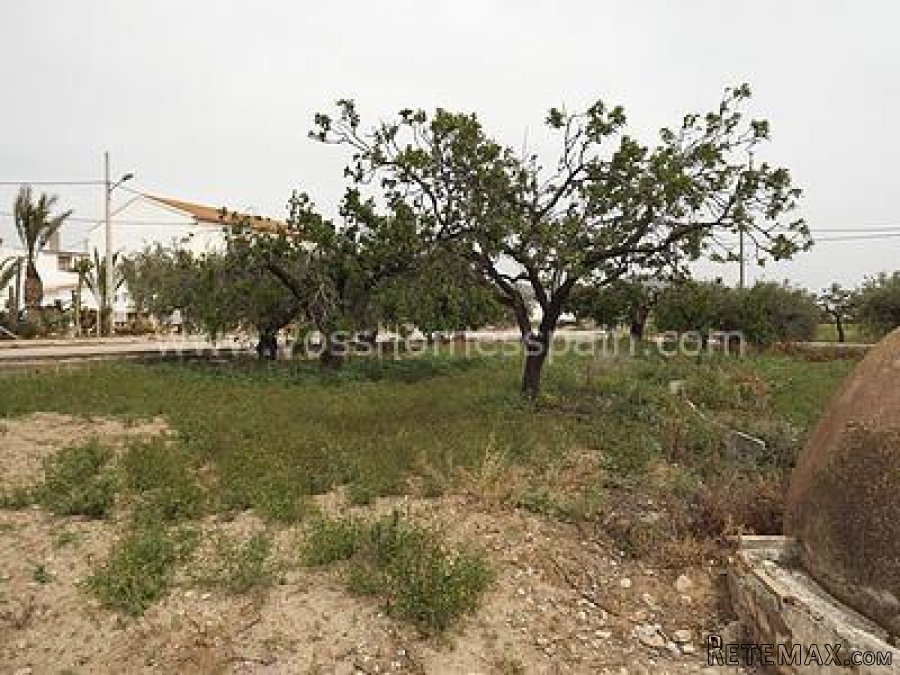 3 bed village / country house of approx 200m2 which is.. - 3