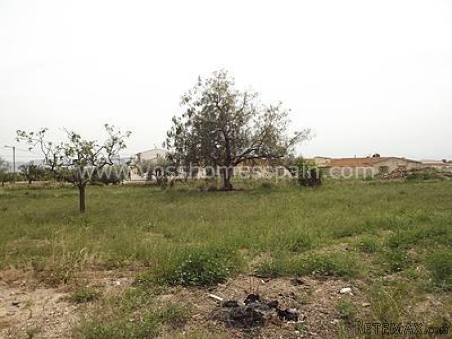 3 bed village / country house of approx 200m2 which is.. - 4