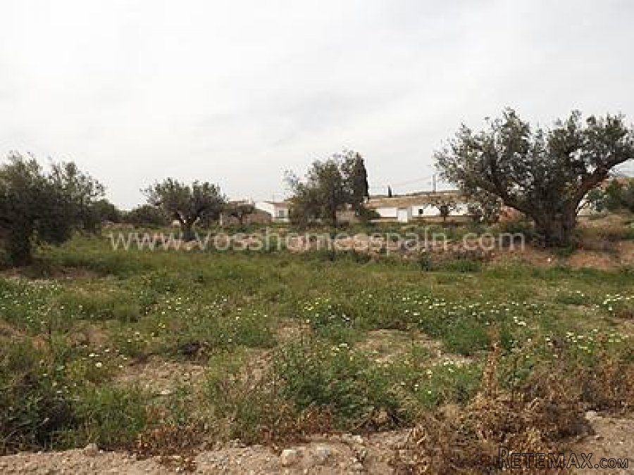 3 bed village / country house of approx 200m2 which is.. - 10
