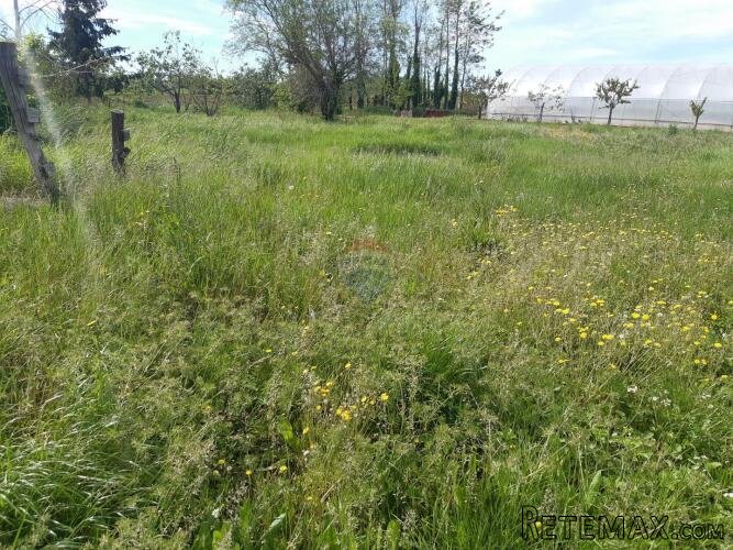 Istra, Poreč - Kaštelir građevinsko zemljište - 2