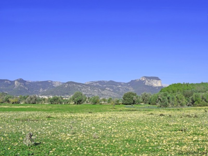 100.000m2 Plot At The Outskirts Of Alaro