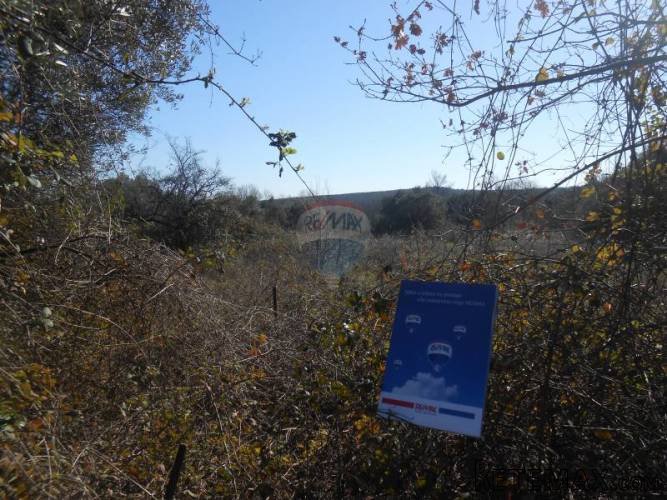 Istra, Peruški, građevinsko zemljište na dobroj lokaciji - 4
