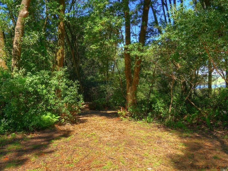 Land For Sale: 124 Dream Farm Road.. - 2