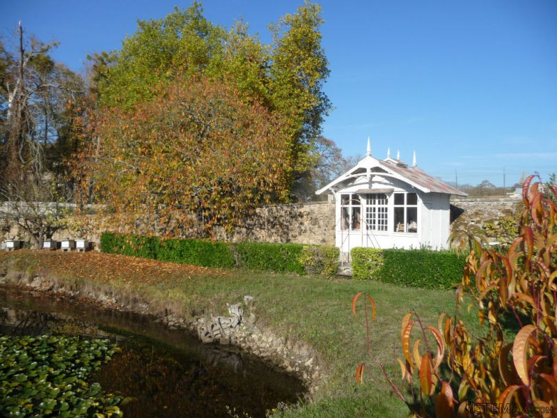 Beautiful House in Nice Surroundings - 2