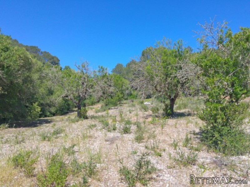 Nice Plot In Sineu With Amazing Views - 2