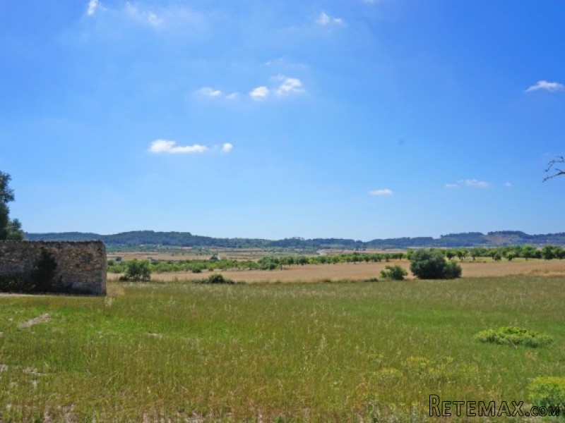 Nice Plot In Sineu With Amazing Views