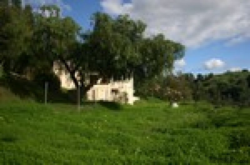 - Property - Malaga - For Sale - 2