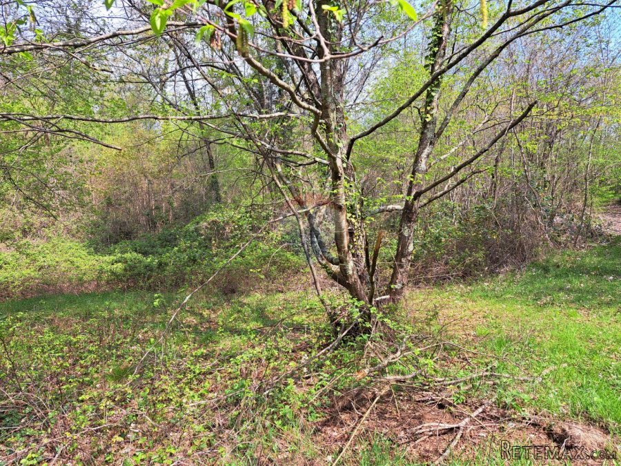 Opatija,Veprinac,građevni teren od 2275 m2 - 5