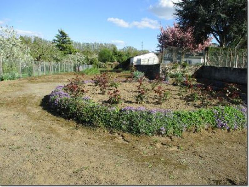 Village House with Good Potential - 2