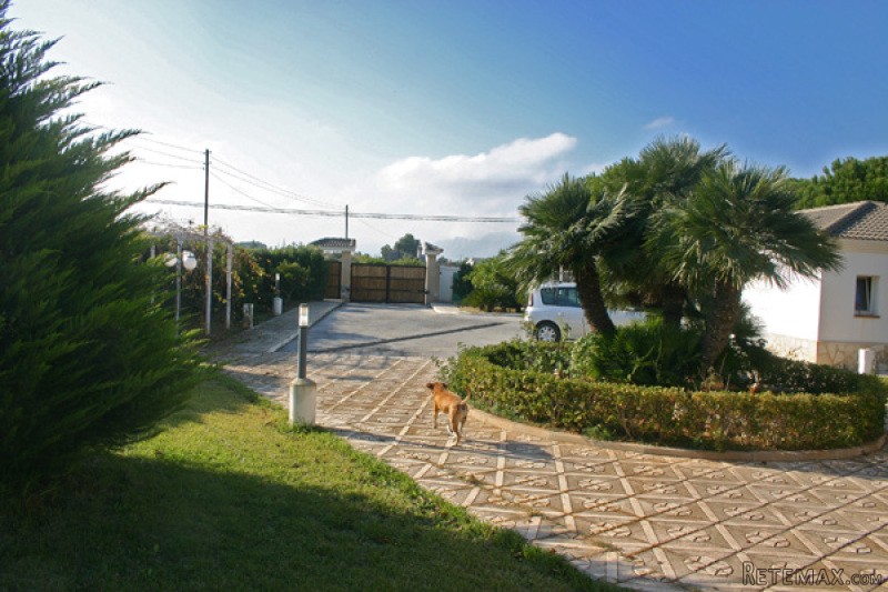 5 Bedrooms - Villa - For Sale - 2