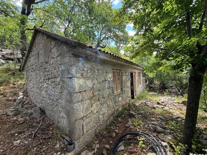 EGZOTIČNA ENDEMSKA KUĆA OSAMA + ZEMLJA - 2