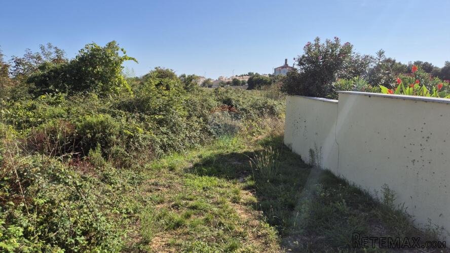 Istra, Barbariga - građevinsko zemljište pravilnog oblika - 3